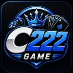 C222 Game
